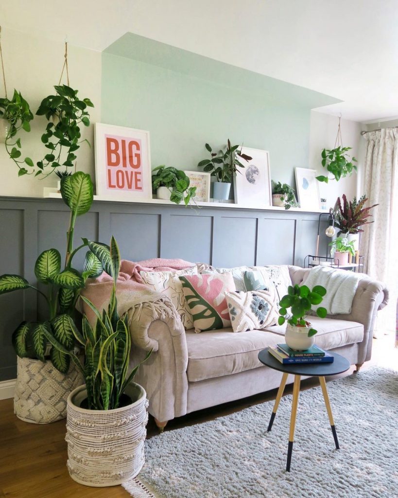 plantas para apartamento pequeno