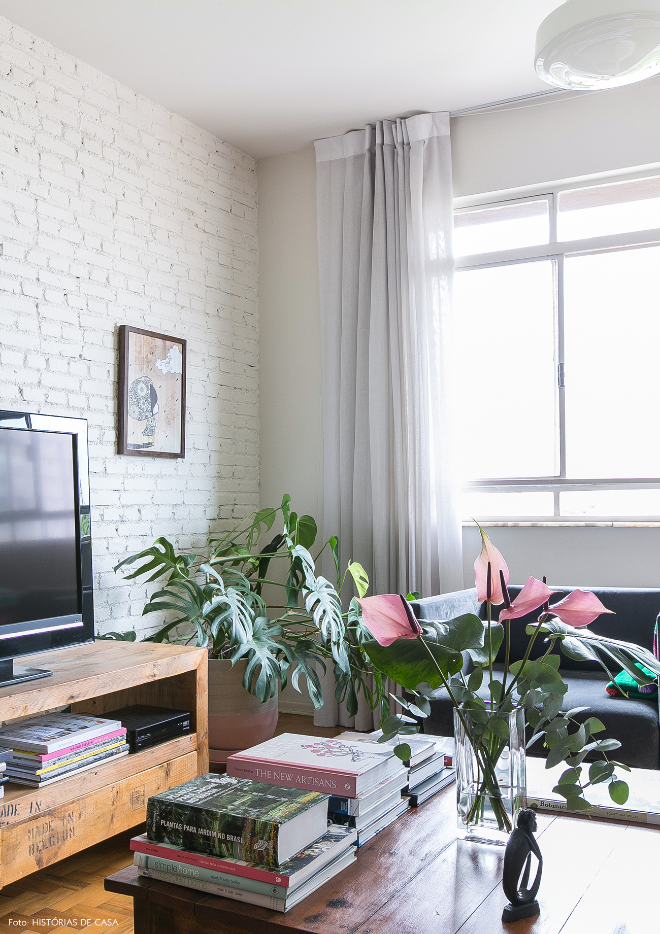 plantas para varanda de apartamento com sol pleno