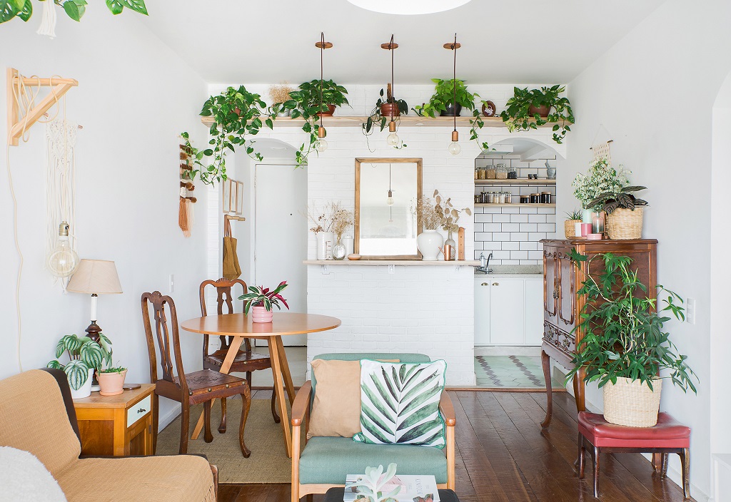 plantas para apartamento com pet
