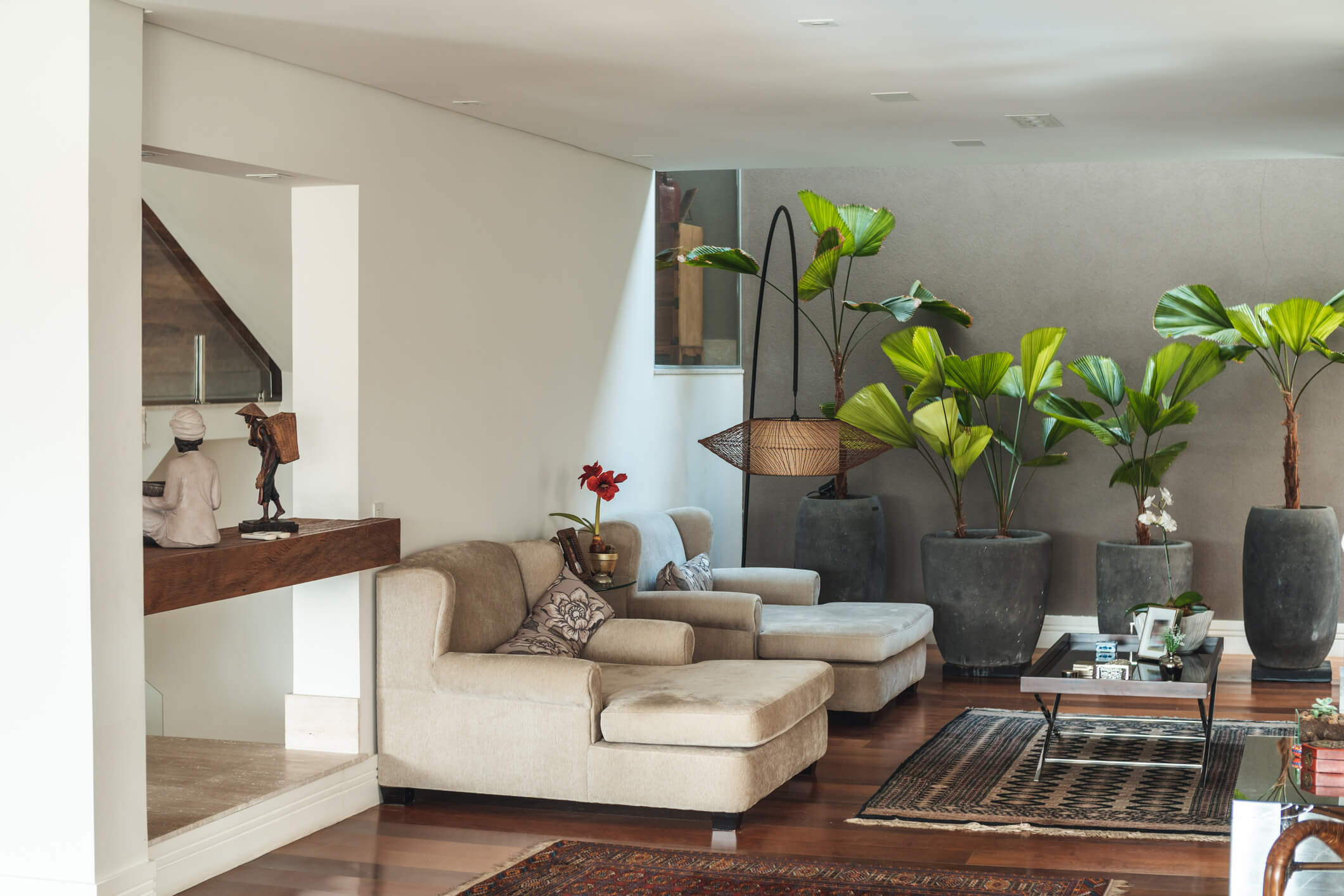 plantas purificadoras de ar apartamento