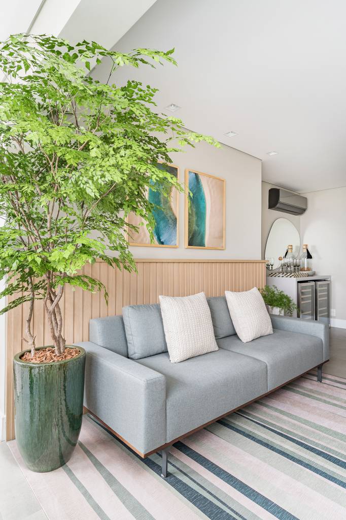 plantas de interior fáceis de cuidar
