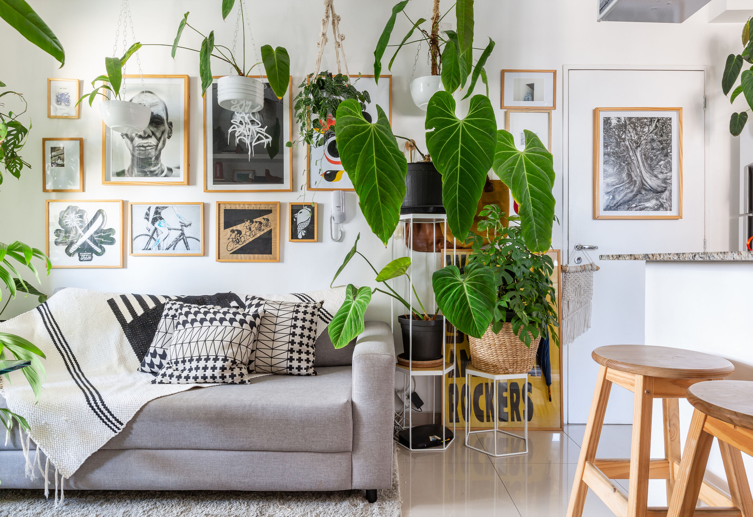 plantas pendentes para apartamento