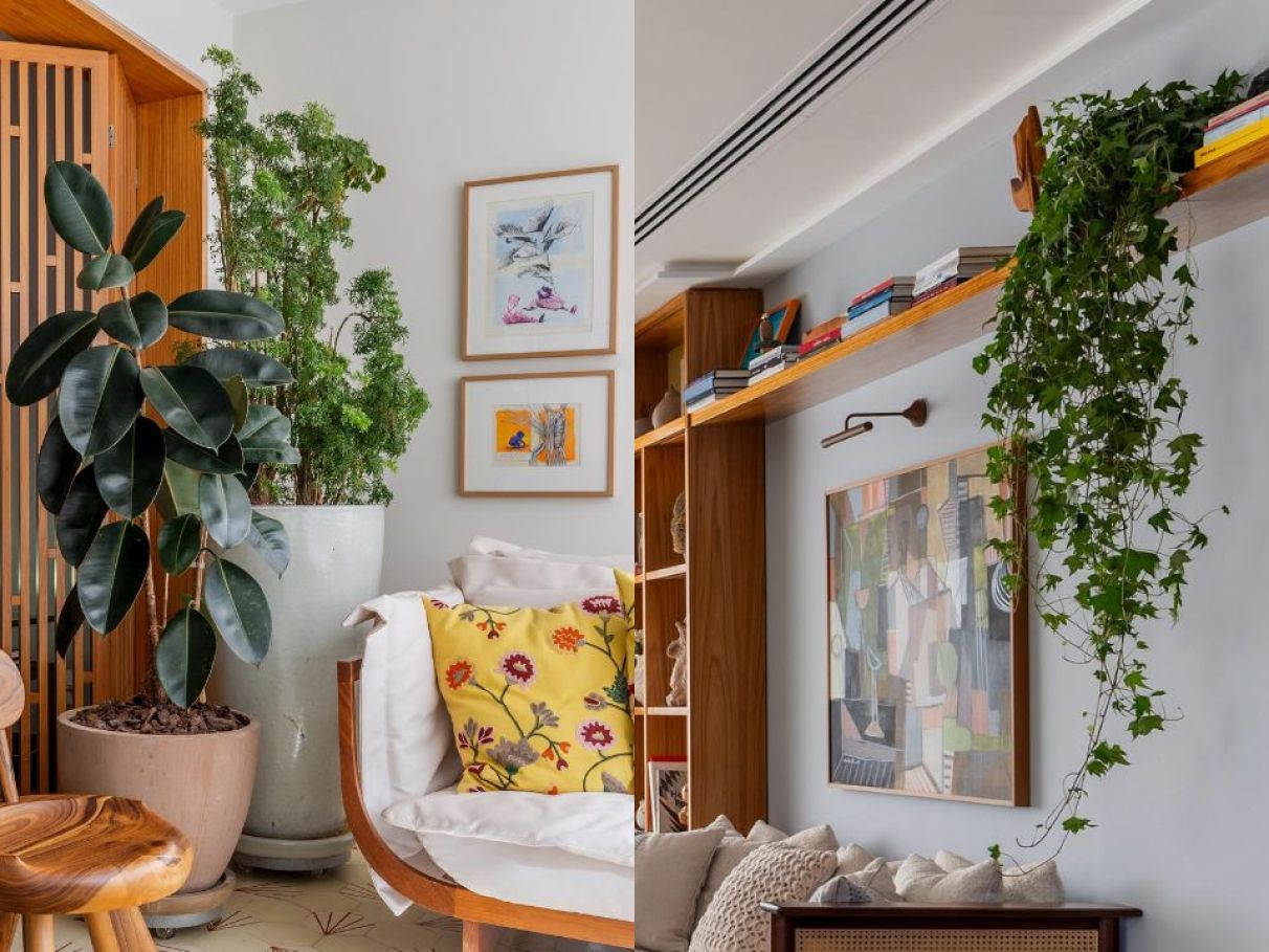 plantas de sombra para apartamento