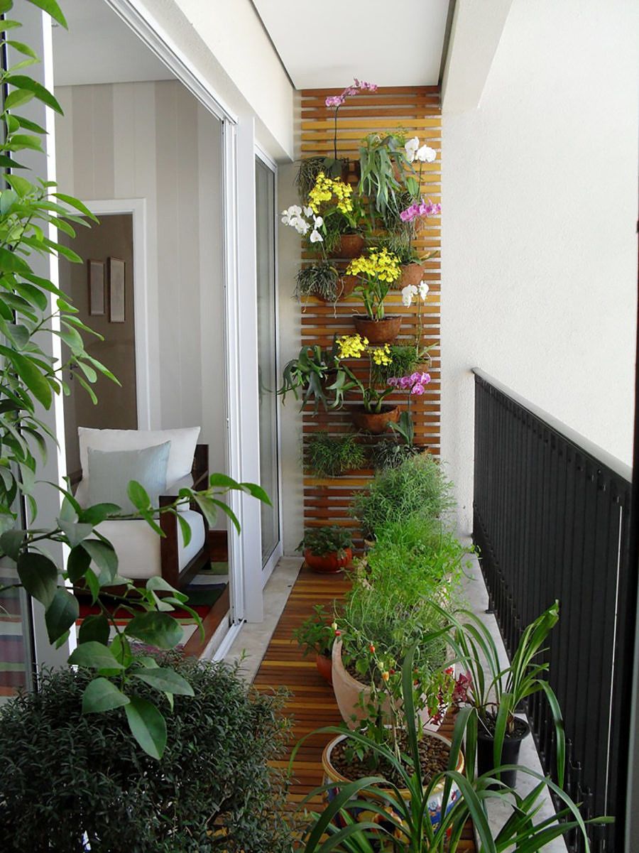 plantas para sacada pequena
