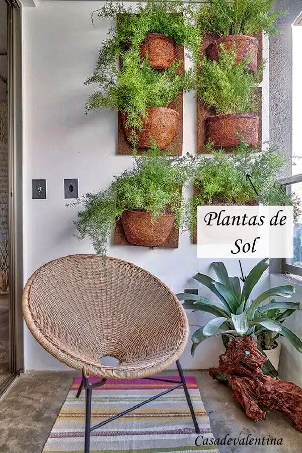 plantas pendentes para varanda de apartamento