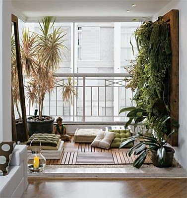 plantas resistentes ao frio para varanda