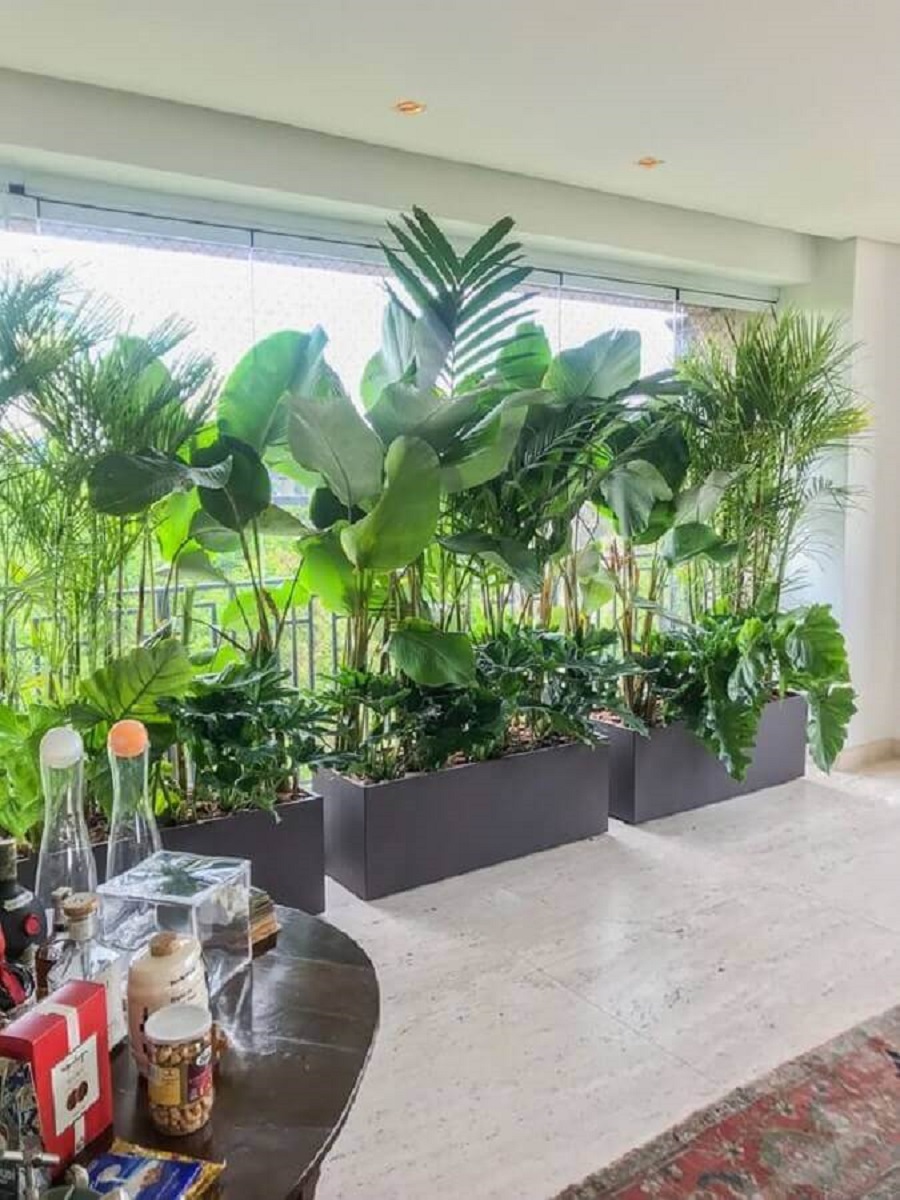 plantas para varanda gourmet