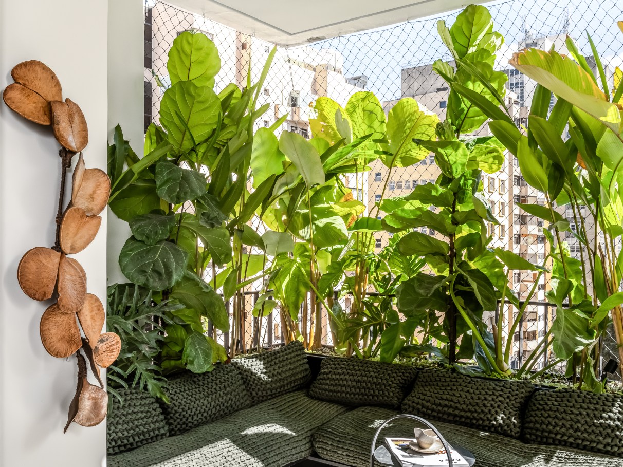 plantas de sol para varanda
