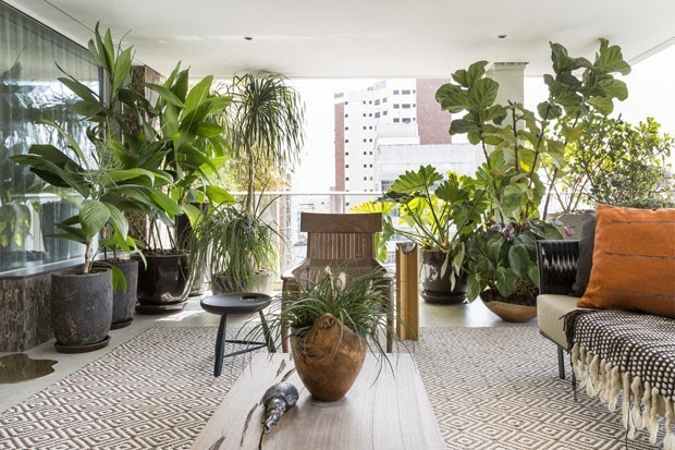 plantas de sombra para varanda
