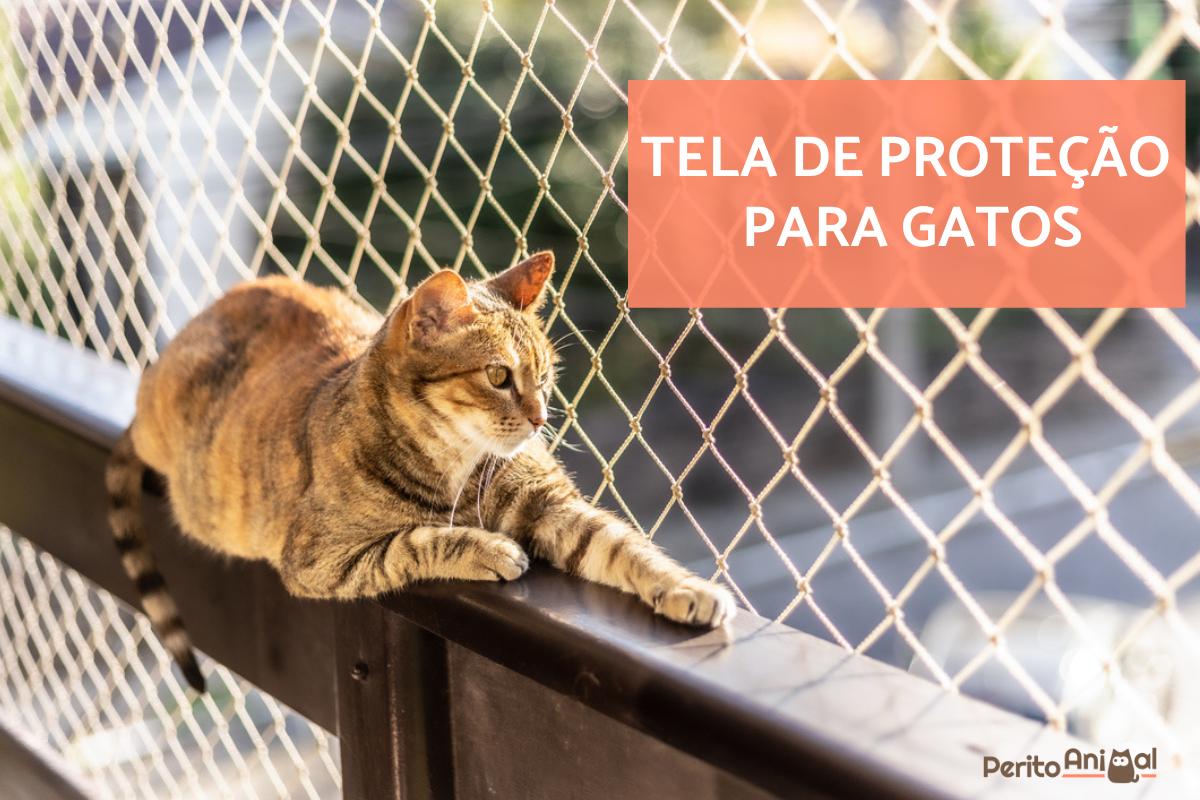 tela de nylon apartamento
