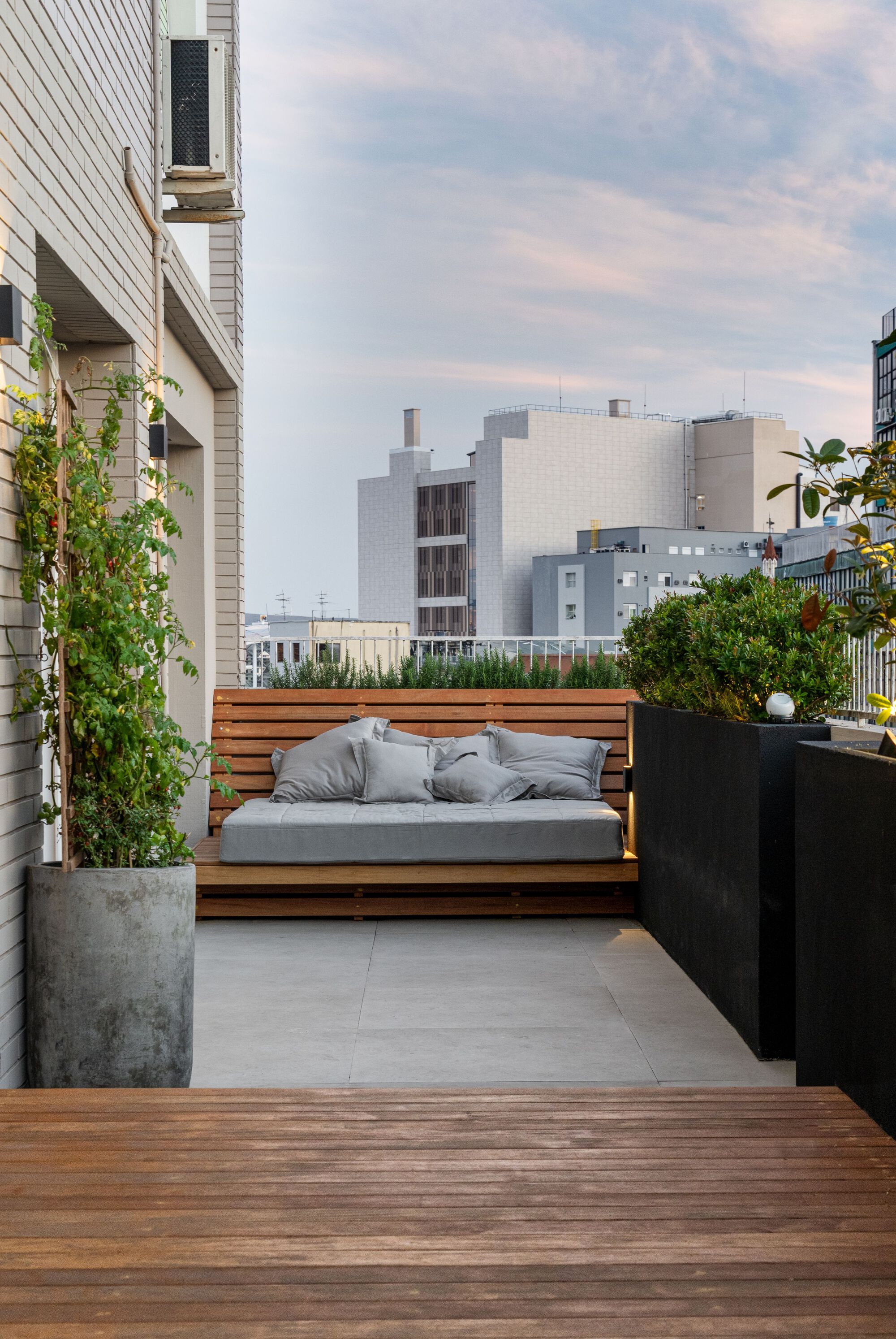 plantas para terraço com sol