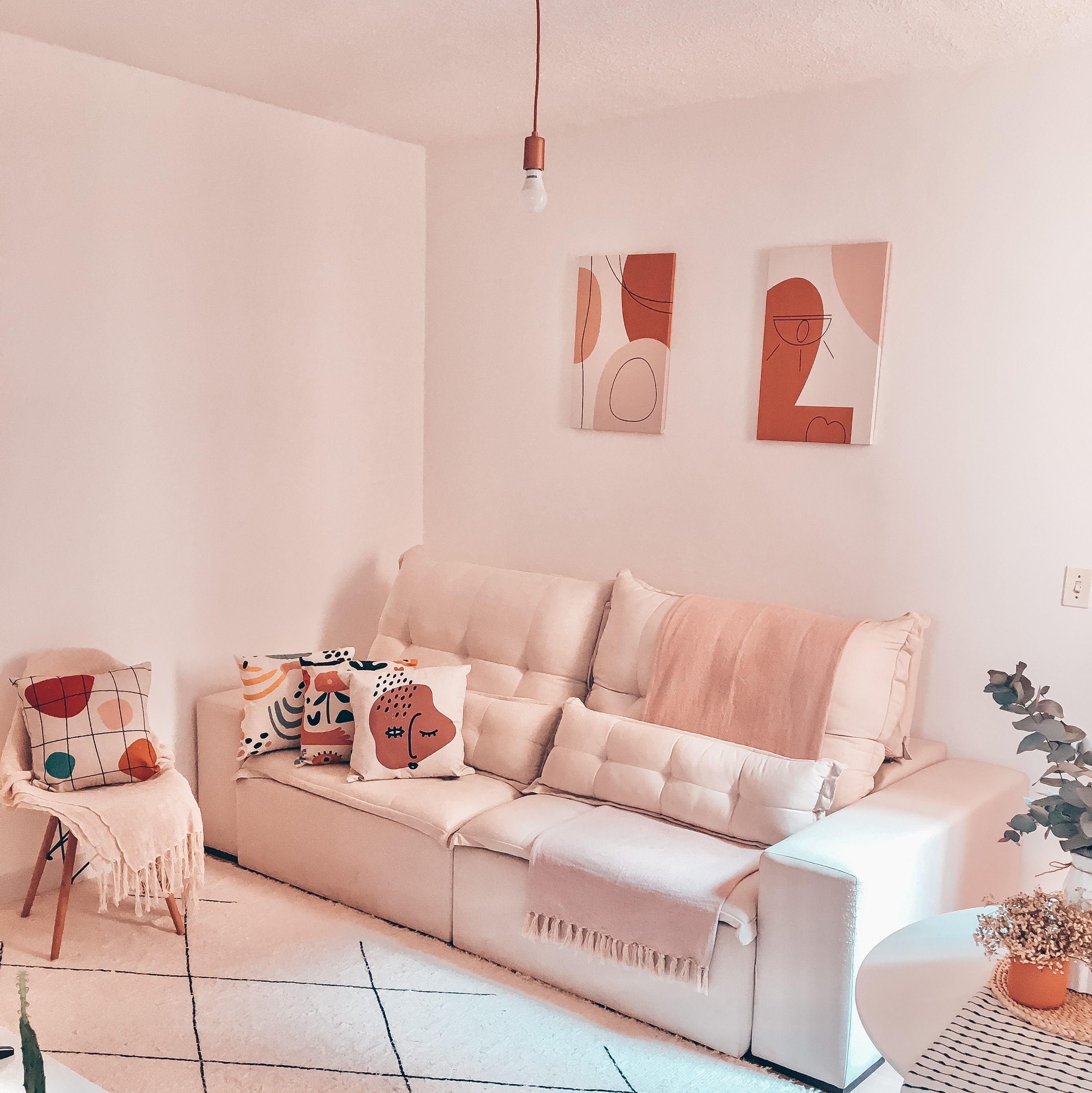 plantas decoração boho