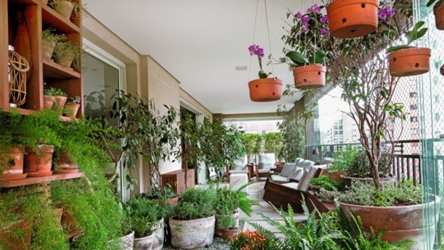decoração com plantas em apartamento