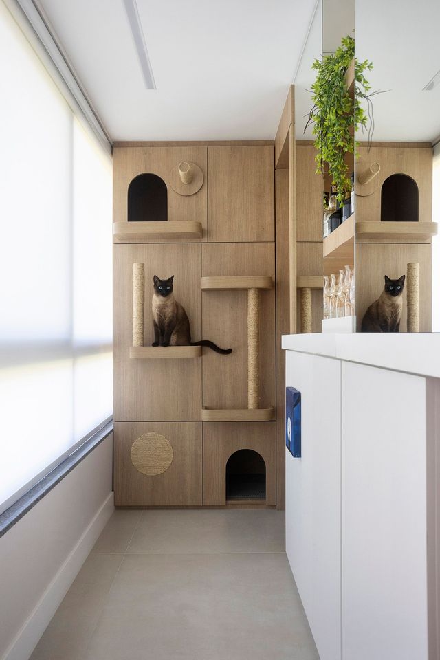 como fazer cantinho para gato pequeno
