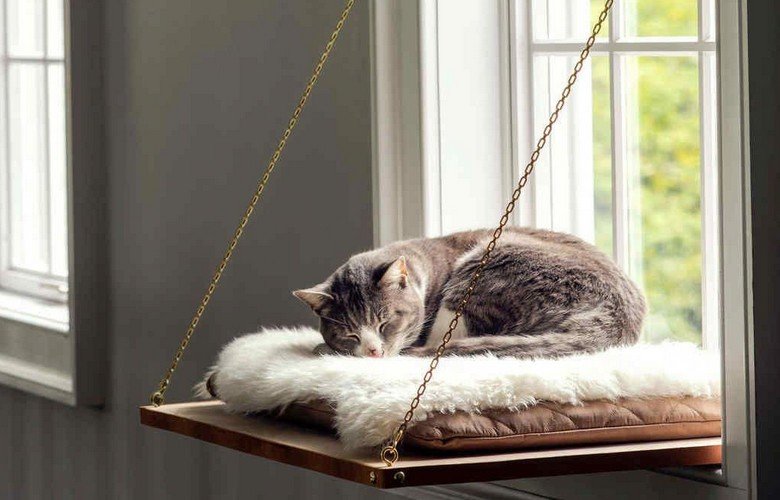 móveis para gato em apartamento pequeno