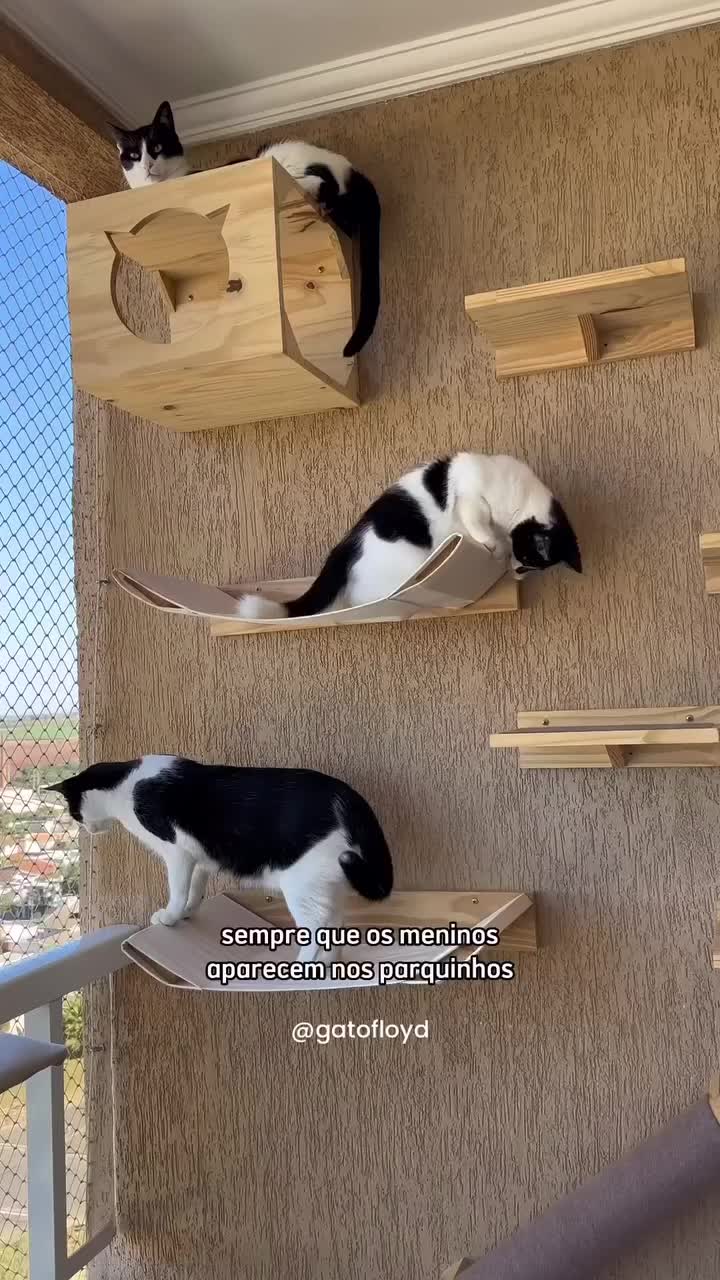 móveis para gato em apartamento pequeno