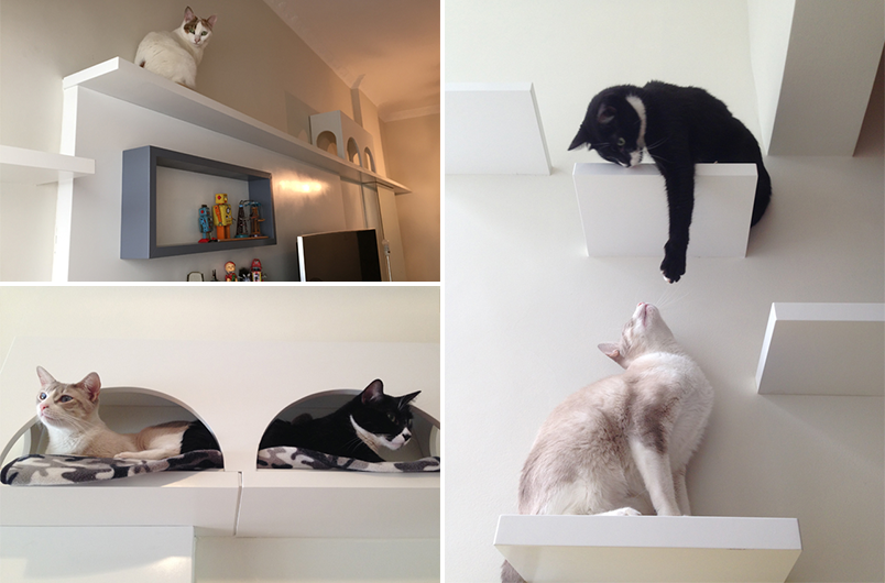 cama de janela para gato