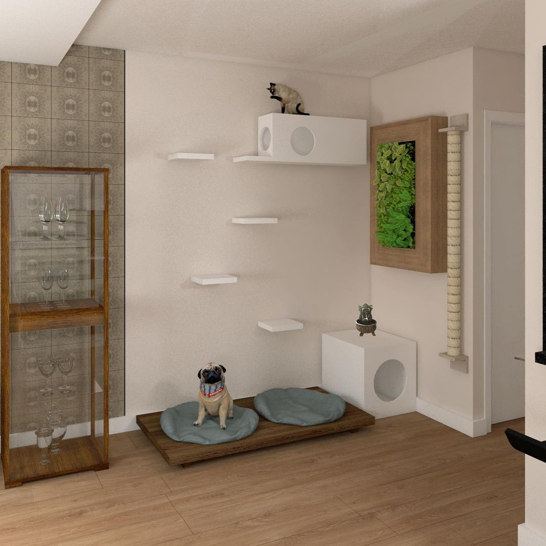 segurança para gatos em apartamento