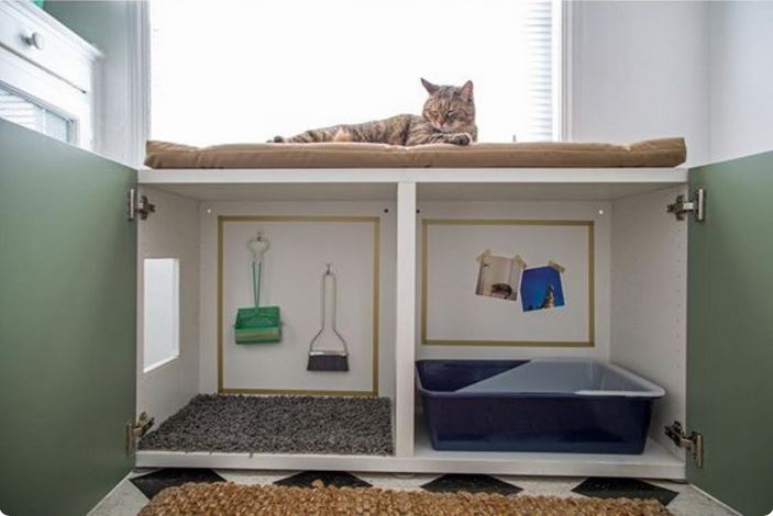 cantinho do gato moderno