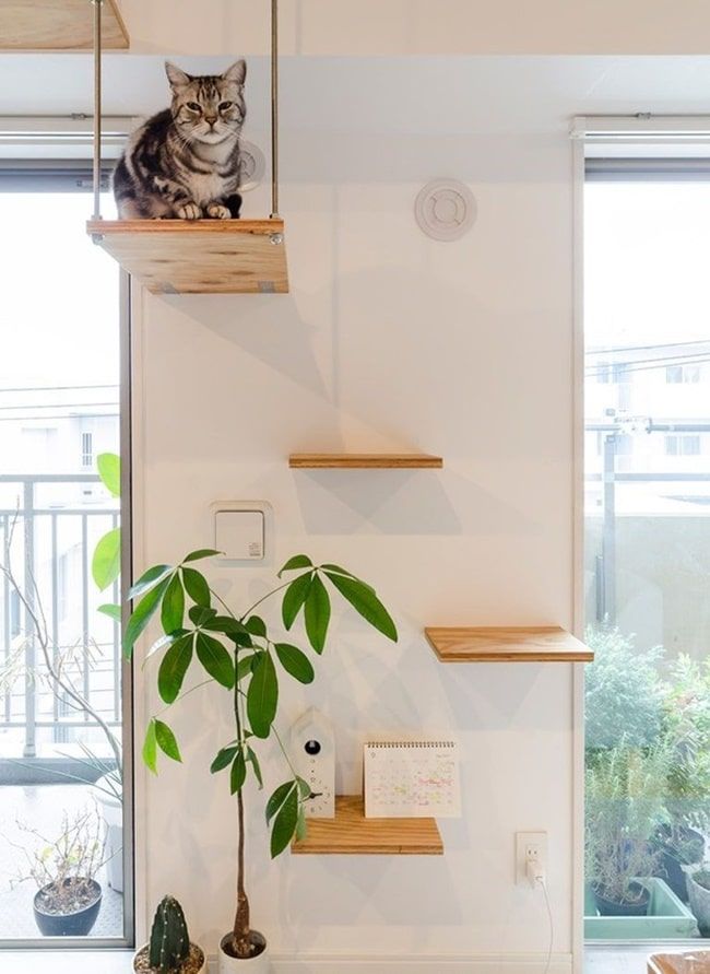 cantinho do gato DIY