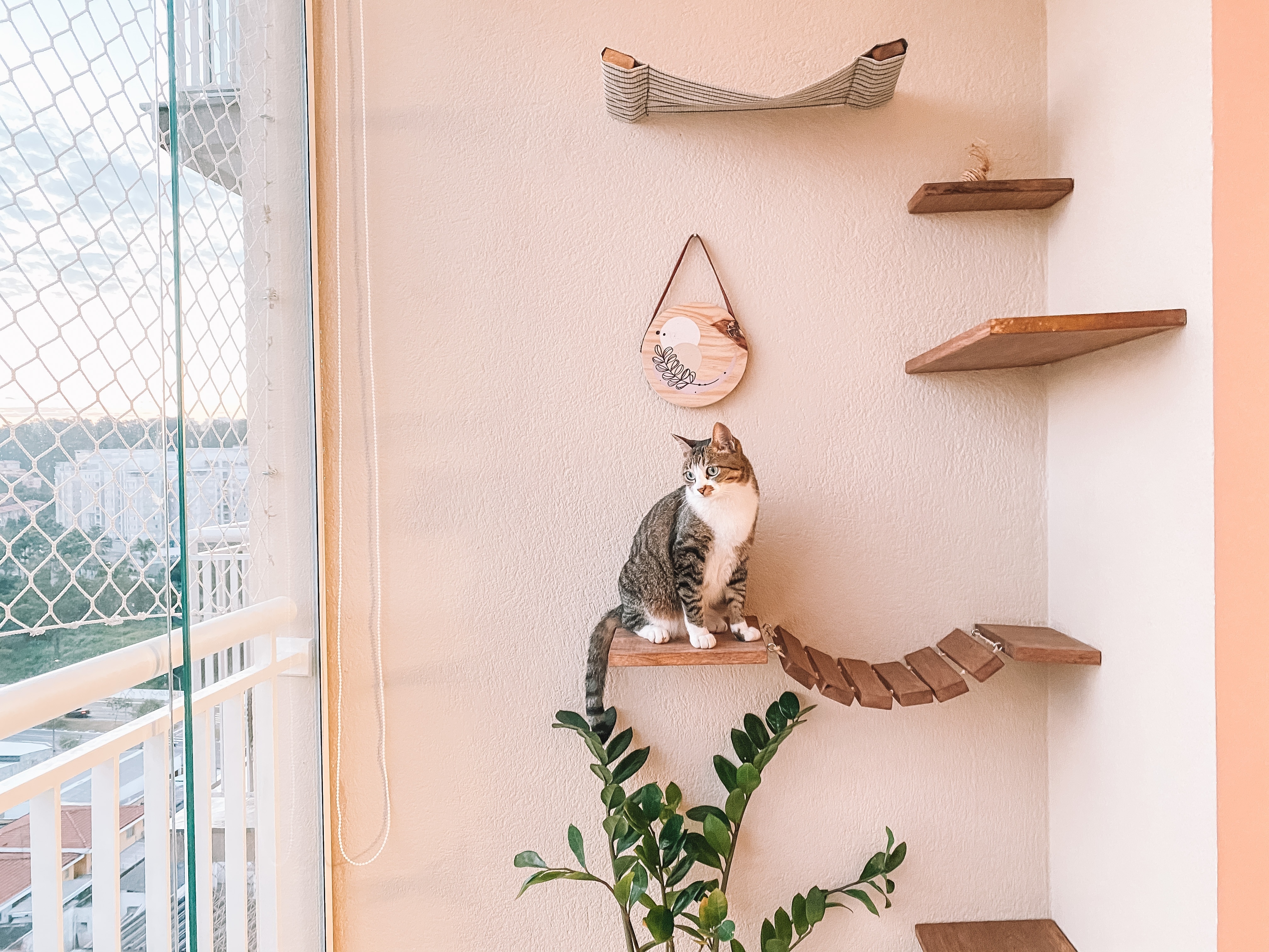 arranhador de parede para gato