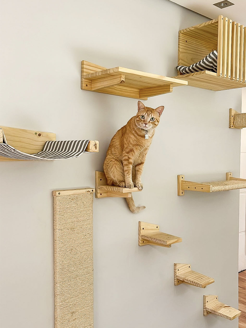 cama de janela para gato