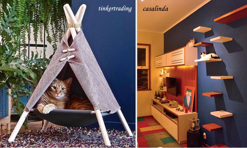 cantinho do gato moderno