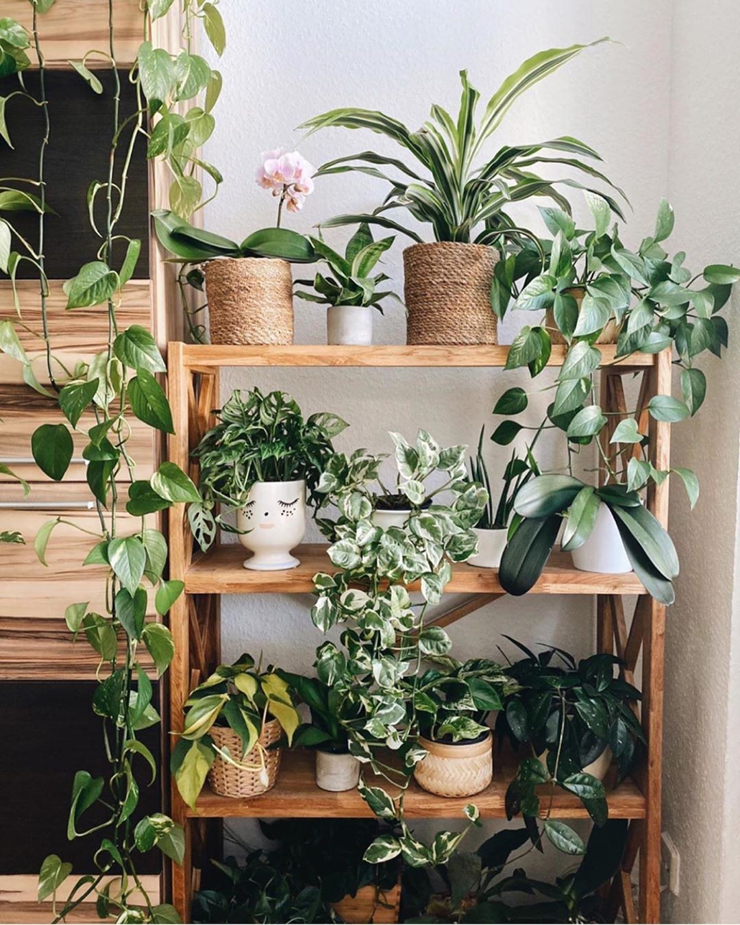 decoração apartamento garden pequeno