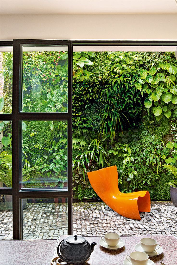 plantas para apartamento com pouca luz
