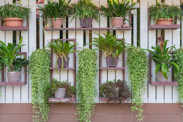 jardim de inverno em apartamento