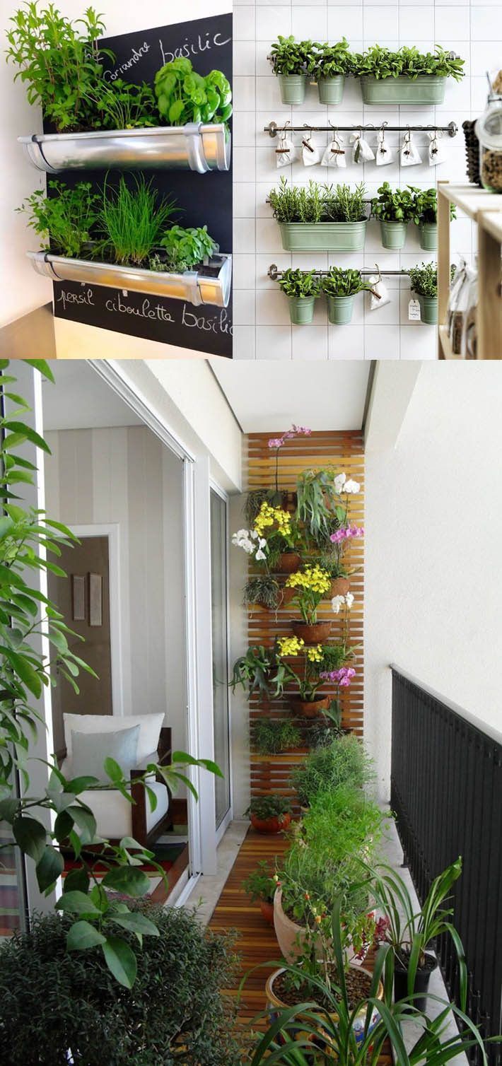 horta em apartamento