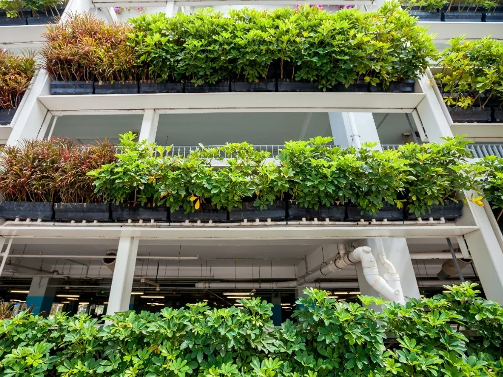 manutenção de jardim de apartamento