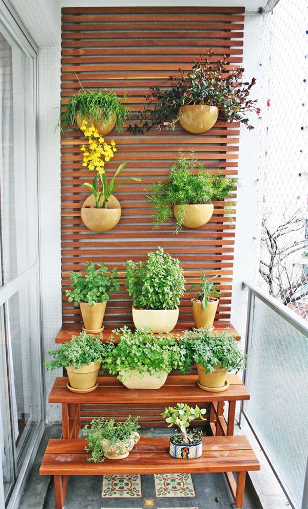 plantas para varanda pequena