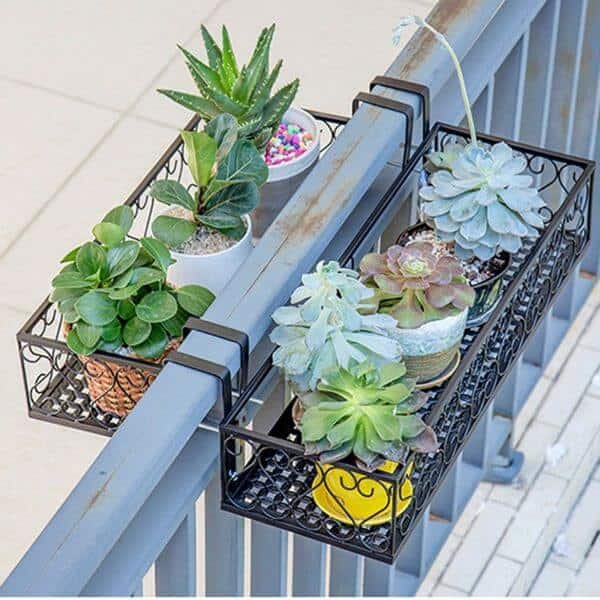 plantas para jardineira de janela com pouco sol