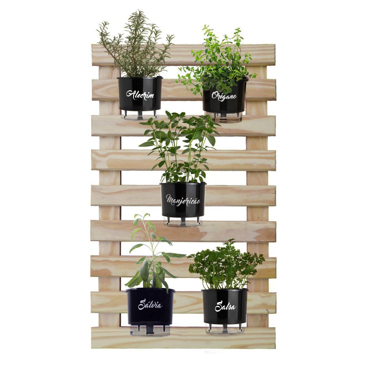 horta vertical apartamento