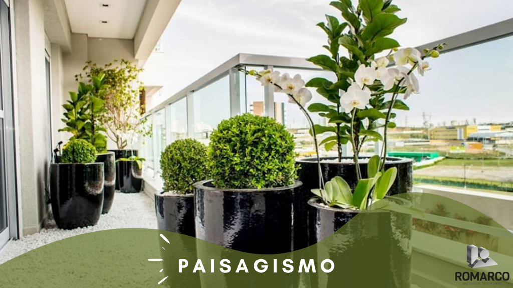 como ter plantas em apartamento