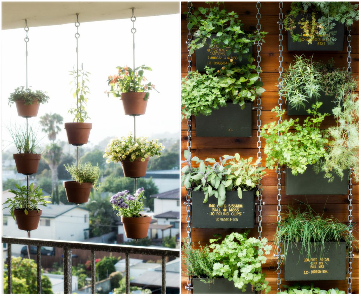 plantas que purificam o ar apartamento