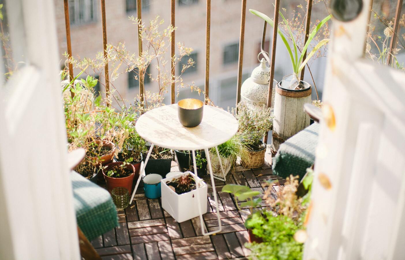 urban jungle apartamento