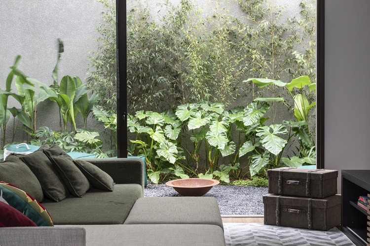 jardinagem apartamento pequeno