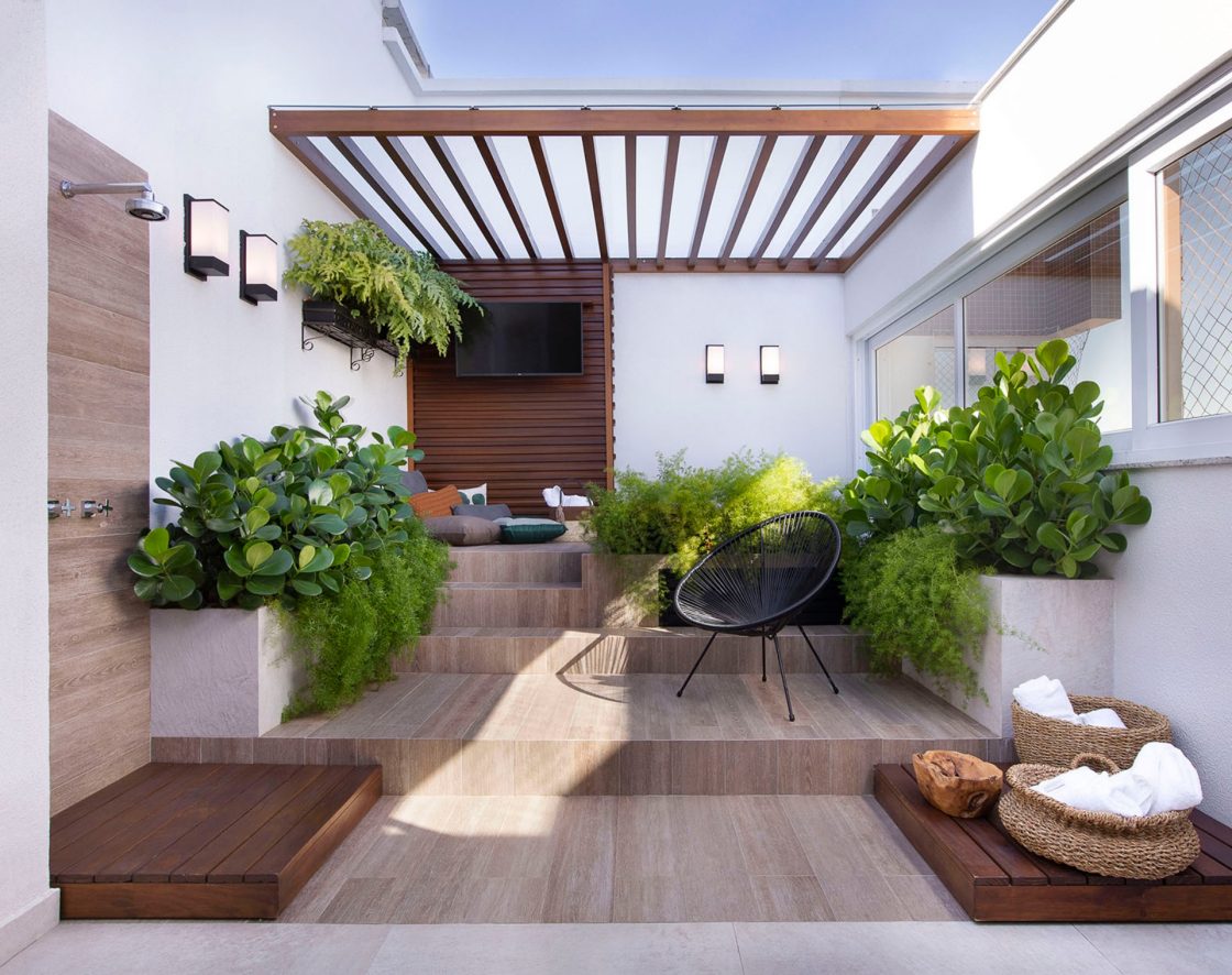 plantas que purificam o ar apartamento