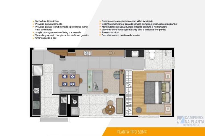 layout 50m2