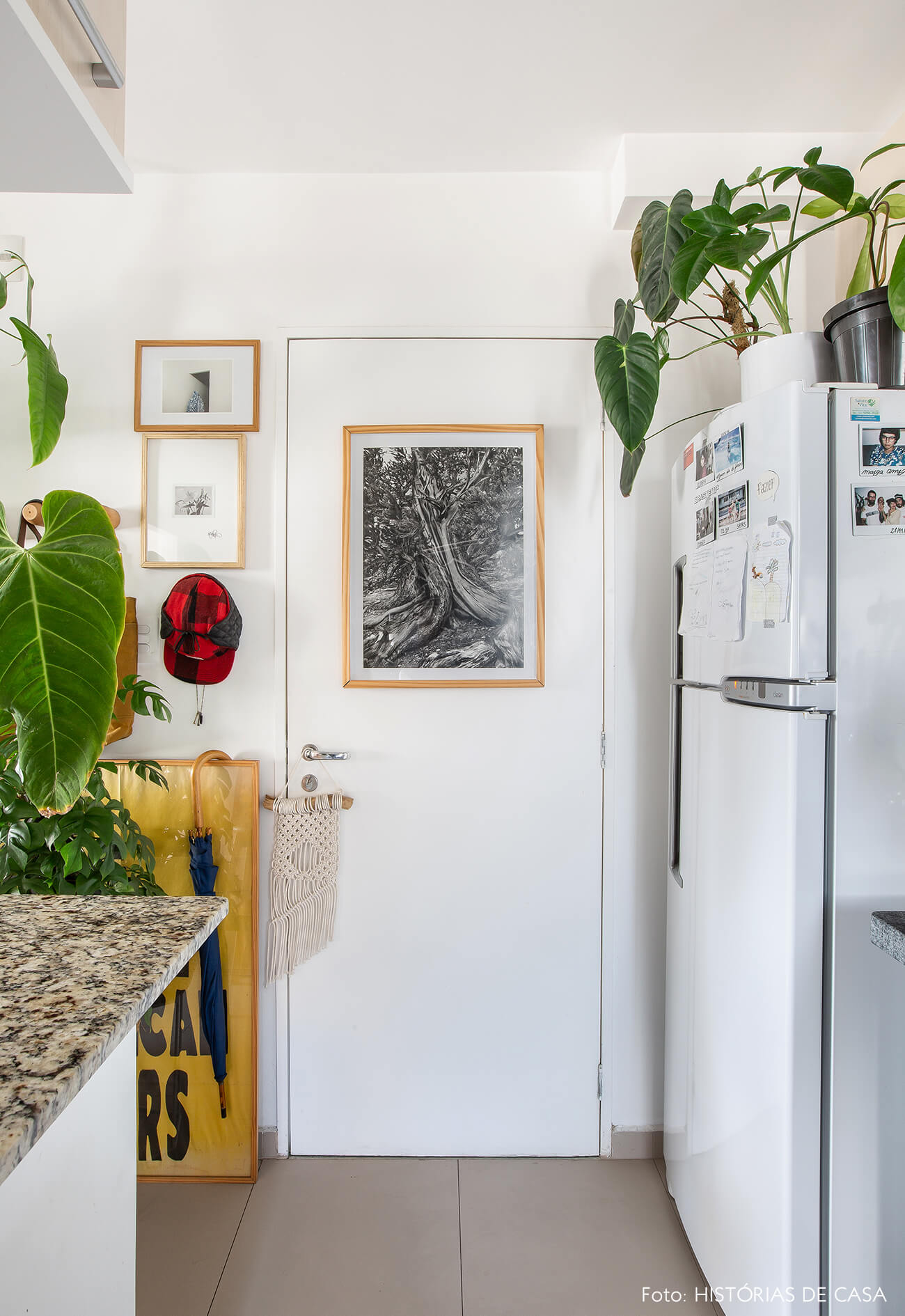 plantas que purificam o ar em apartamento