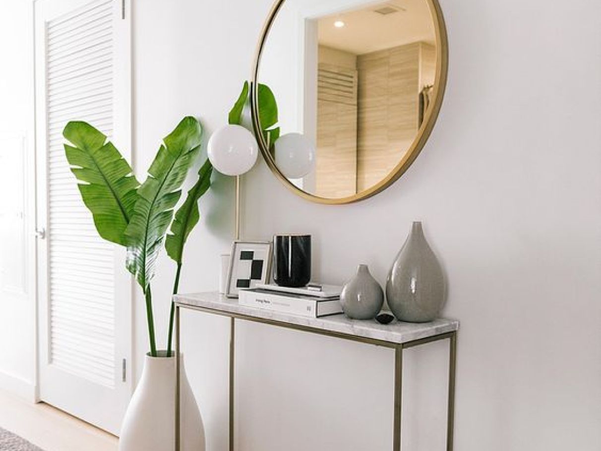 plantas para apartamento com pouca luz