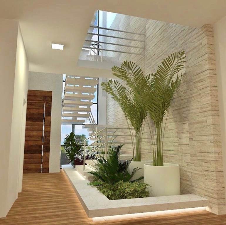 plantas que não precisam de sol para apartamento
