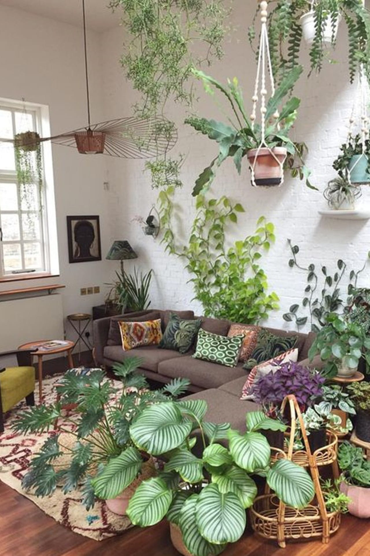 plantas purificadoras de ar para apartamento