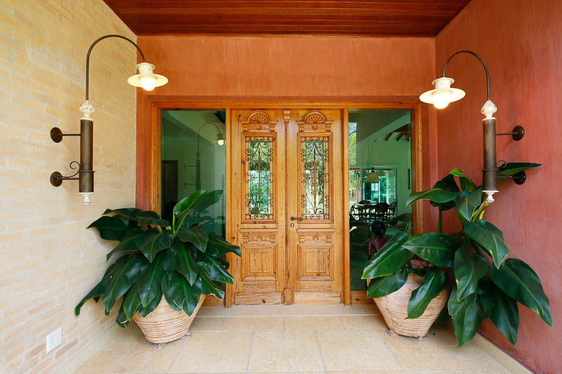 plantas de interior fáceis de cuidar