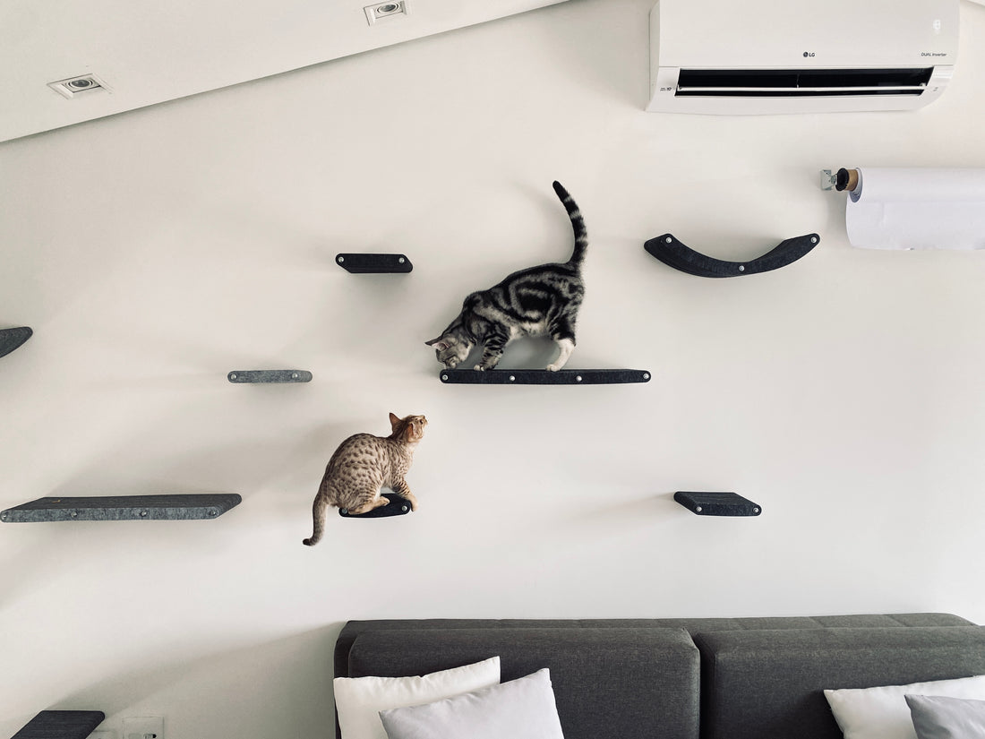 gatificação de apartamento