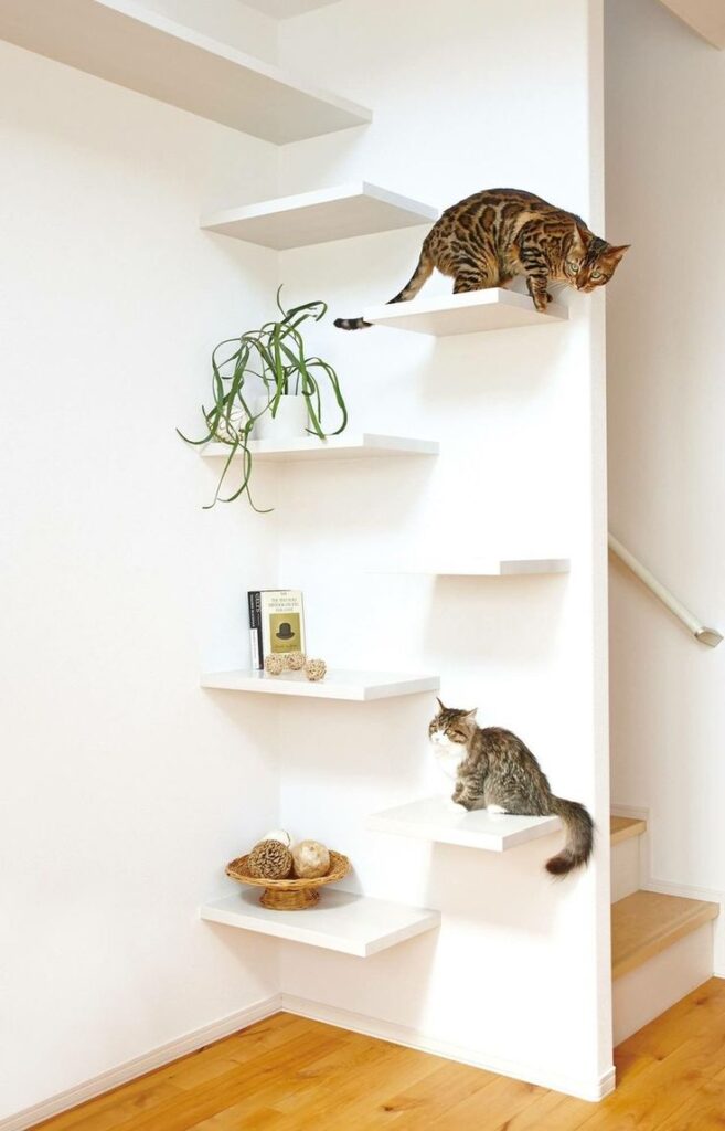 playground vertical para felinos