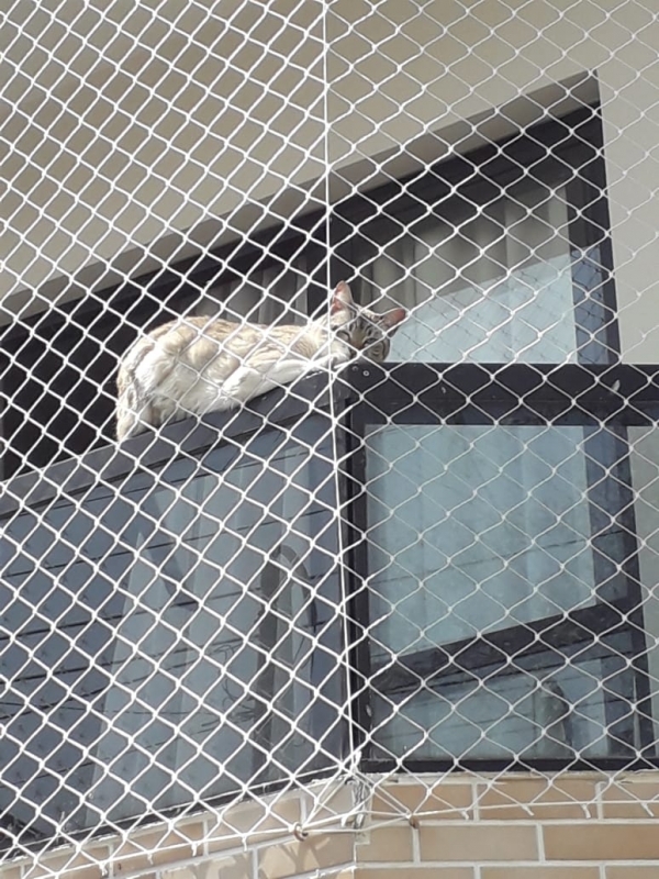 telagem de sacada para gatos
