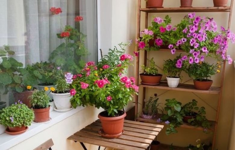 decoração de sacada com plantas